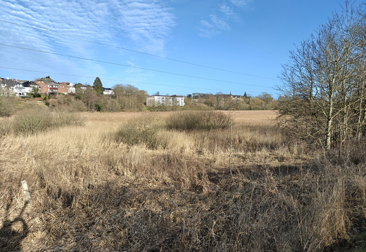 Kolding Ådal - Marts