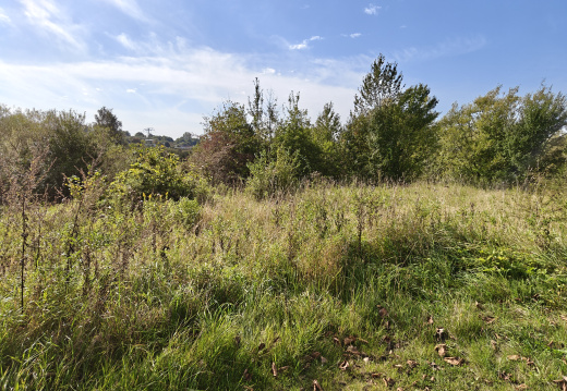 Vifdam & Kolding Ådal