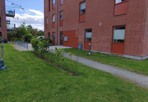 Kolding August