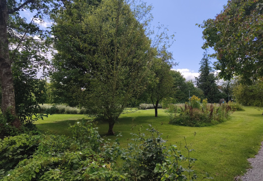 IMG 20260807 145325