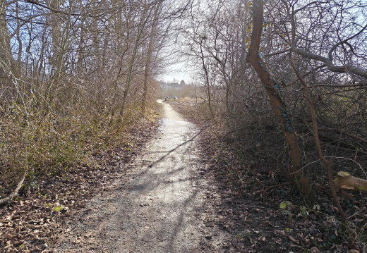 IMG20260303143954