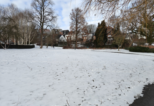 IMG20260213140937