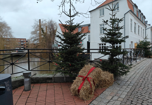IMG20251211153836