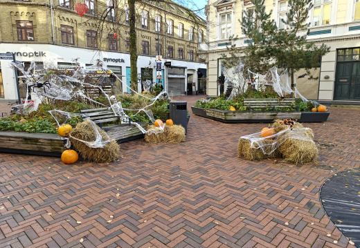 IMG20251030150227