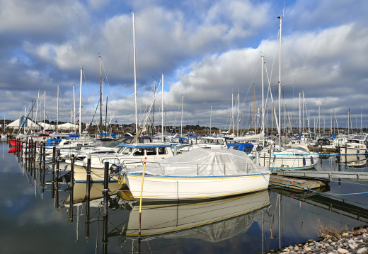 IMG20251014152247