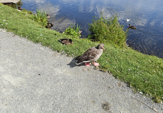 IMG20250809142724
