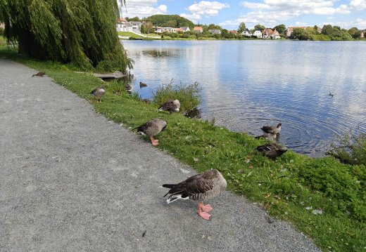 IMG20250809142757