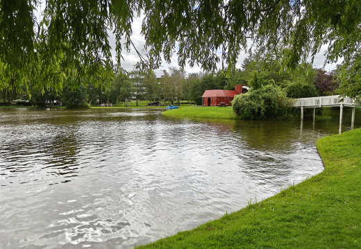 IMG20250806132838