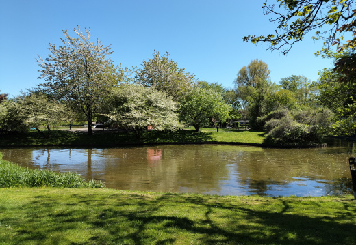 IMG20250505143318