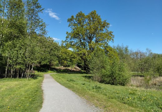 IMG20250505143907