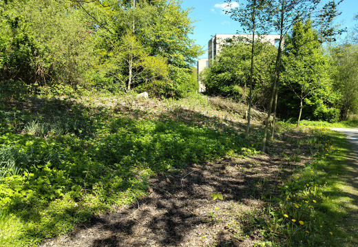 IMG20250505144004