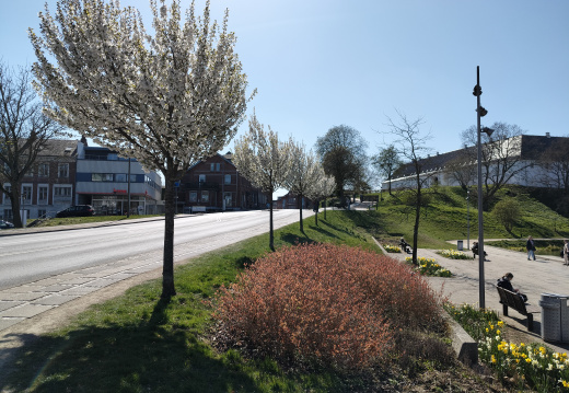 IMG20250412143658