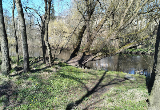 IMG20250402151128