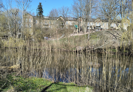 IMG20250402151202
