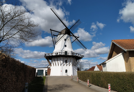 IMG20250331144757