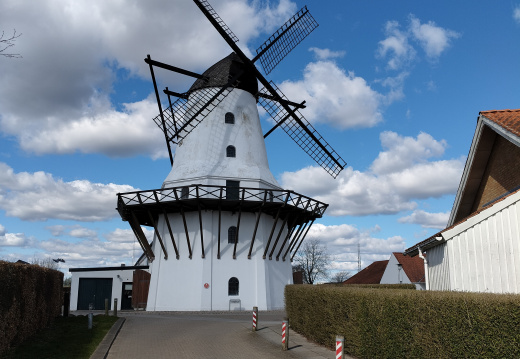 IMG20250331144816