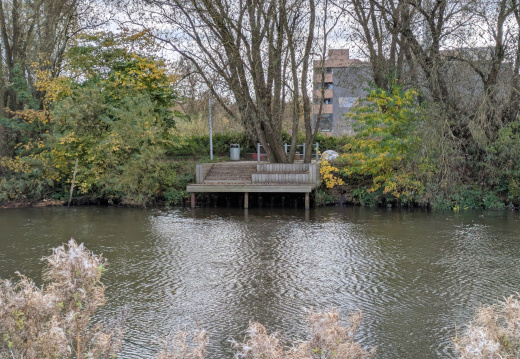 PXL 20241023 123529625