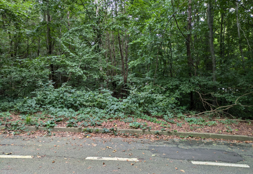 PXL 20240915 130921995