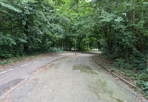 PXL 20240915 130946512
